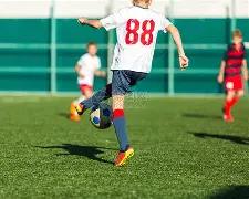 谭飞澄清,周海媚并未,离世,贪玩娱乐官网,贪玩娱乐官网全球信赖,贪玩娱乐官网在线娱乐平台