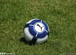 疑云笼罩葡,萄牙队前锋,归来,贪玩娱乐官网,贪玩娱乐官网全球信赖,贪玩娱乐官网在线娱乐平台